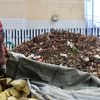 NYC’s Ambitious Composting Initiative Has Decomposed